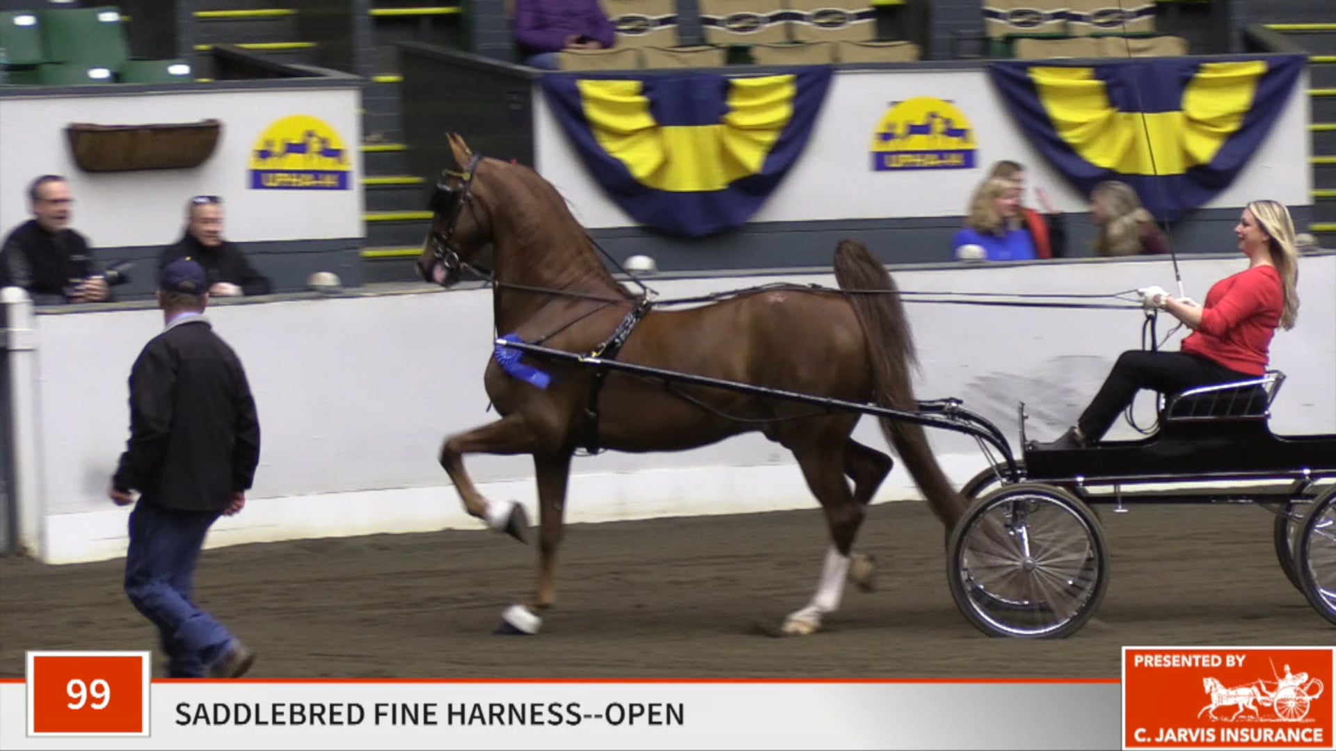 UPHA14-19 - Class 99 - Absolutely Amazing