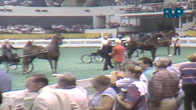1987 WCHS Class 29 Fine Harness Mares