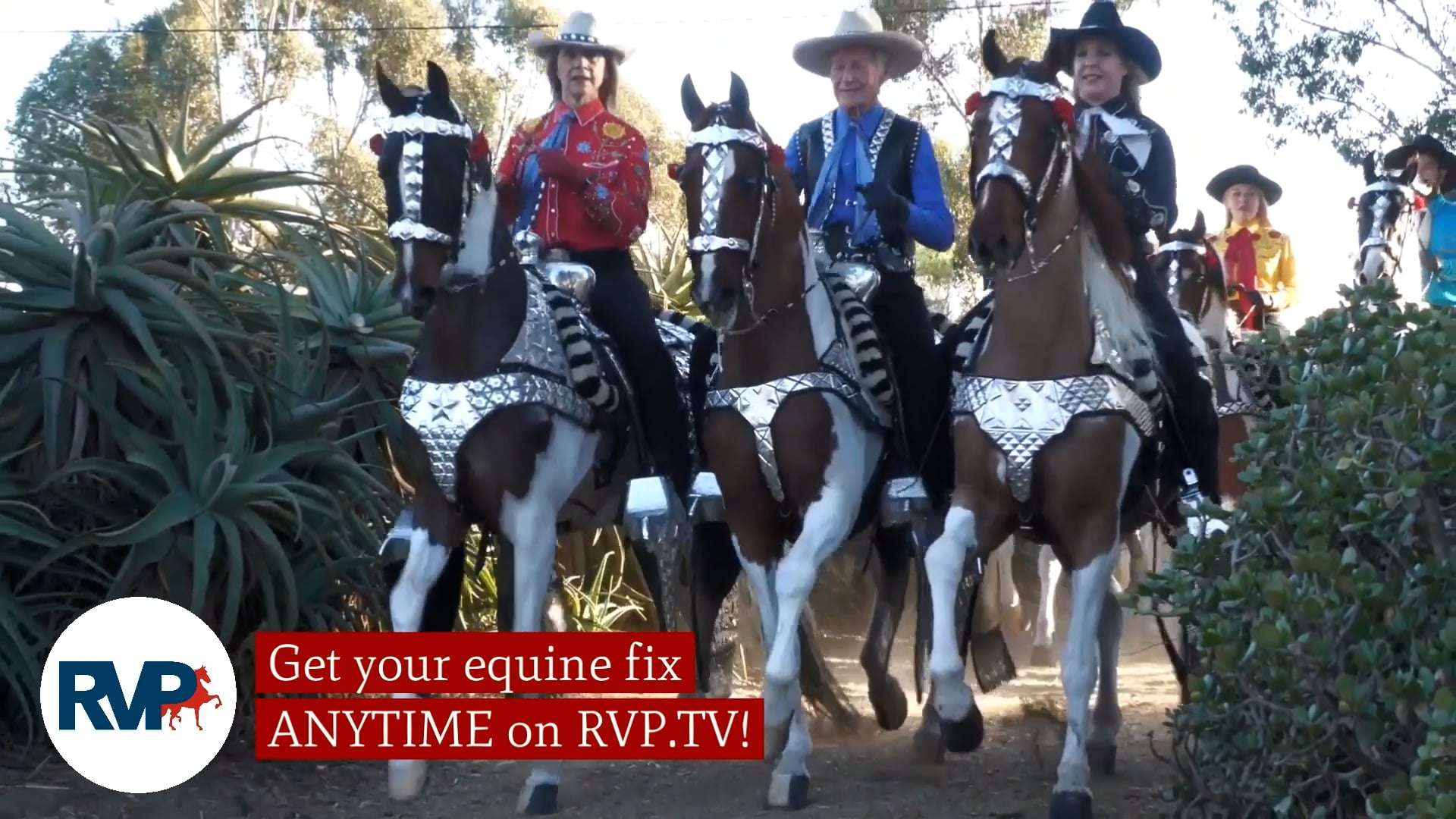 MGN21 - Class 189 - Vivre L'Amour- Sophia Vasapolli, Up