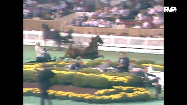 1989 WCHS Class 32 Fine Harness Mares