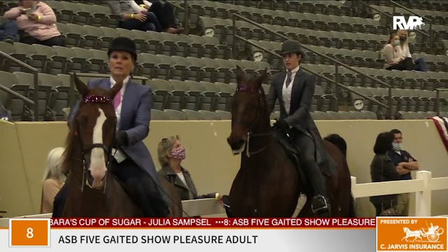 KFC 2020 - Class 8 ASB Five Gaited Sh...