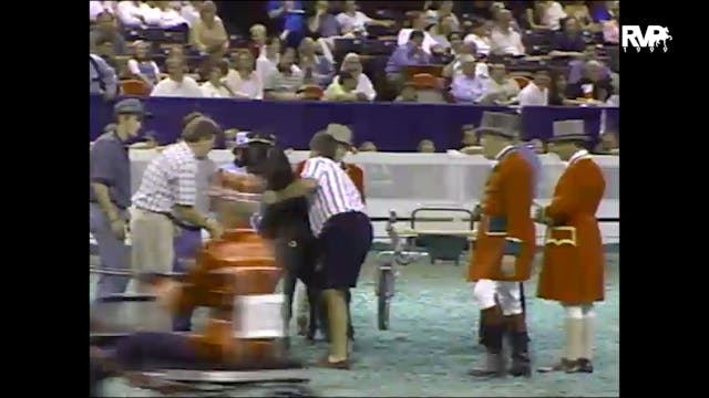 1999 WCHS - Class 59.1 Adult Amateur ...