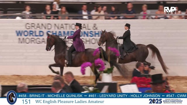 MGN25 - Class 151 - WC English Pleasu...