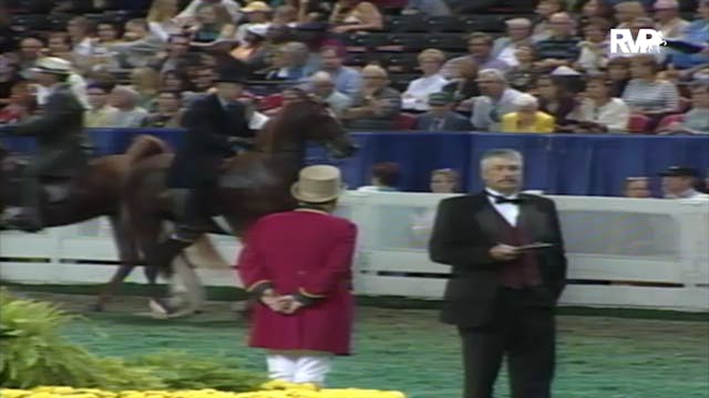 2000 WCHS Class 52 Junior Five Gaited...