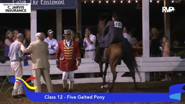 2015 SHS - Class 12 Five Gaited Pony 