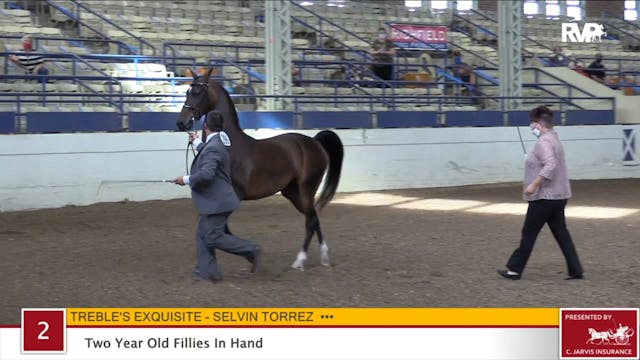 2020 JMHS - Class 2 Two Year Old Fill...