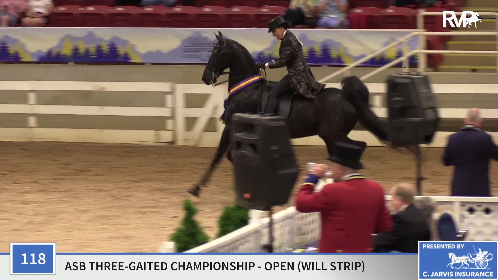 ASC19 - Class 118 - Arrowhead's Black Beauty