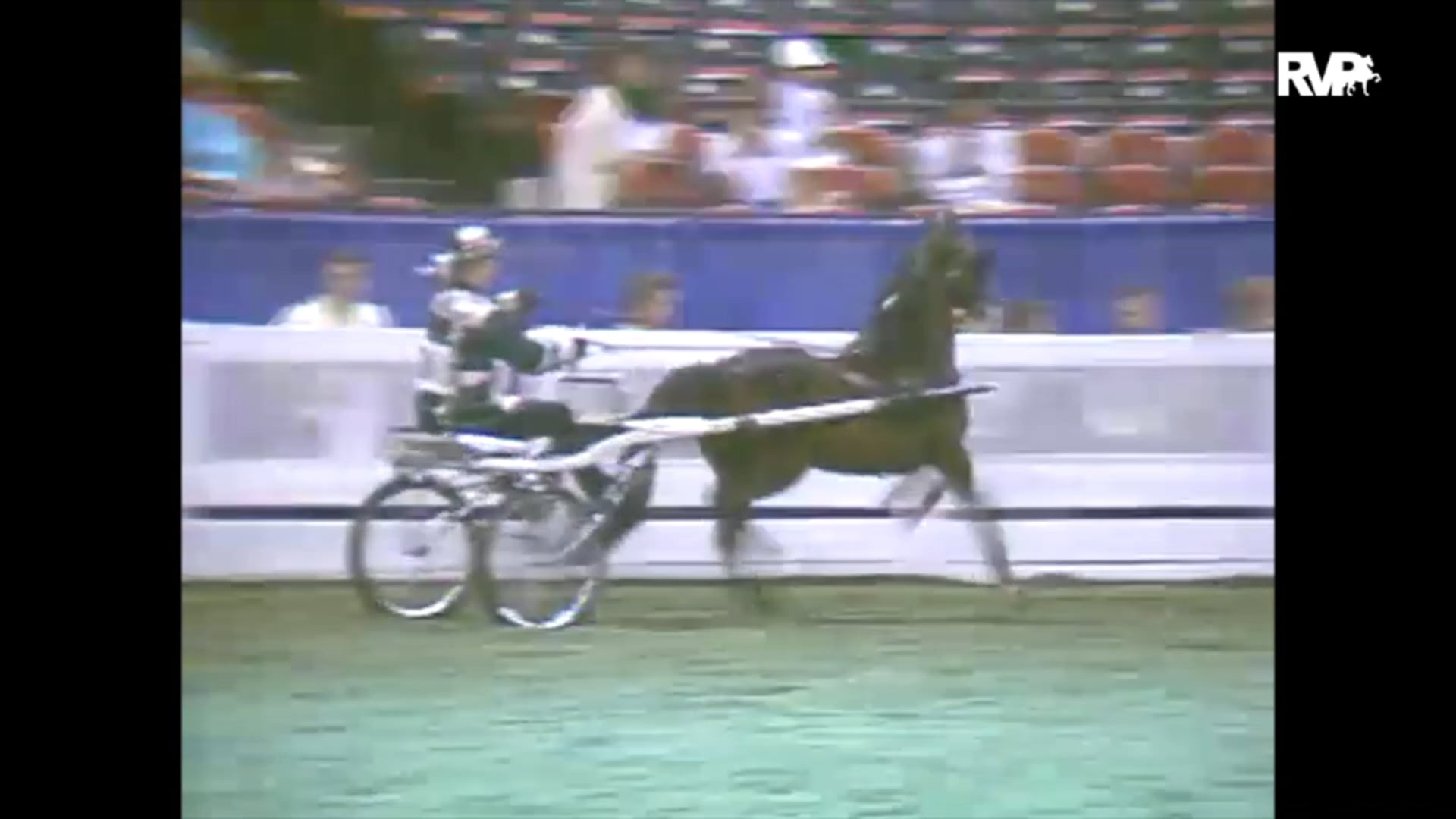 1993 WCHS Class 168 Junior Exhibitor Roadster Pony Championship