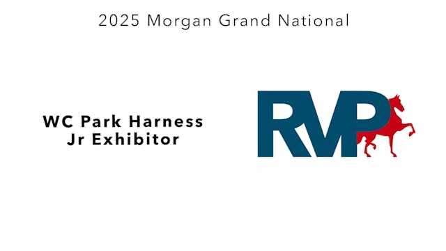 MGN25 - Class 469 - WC Park Harness J...