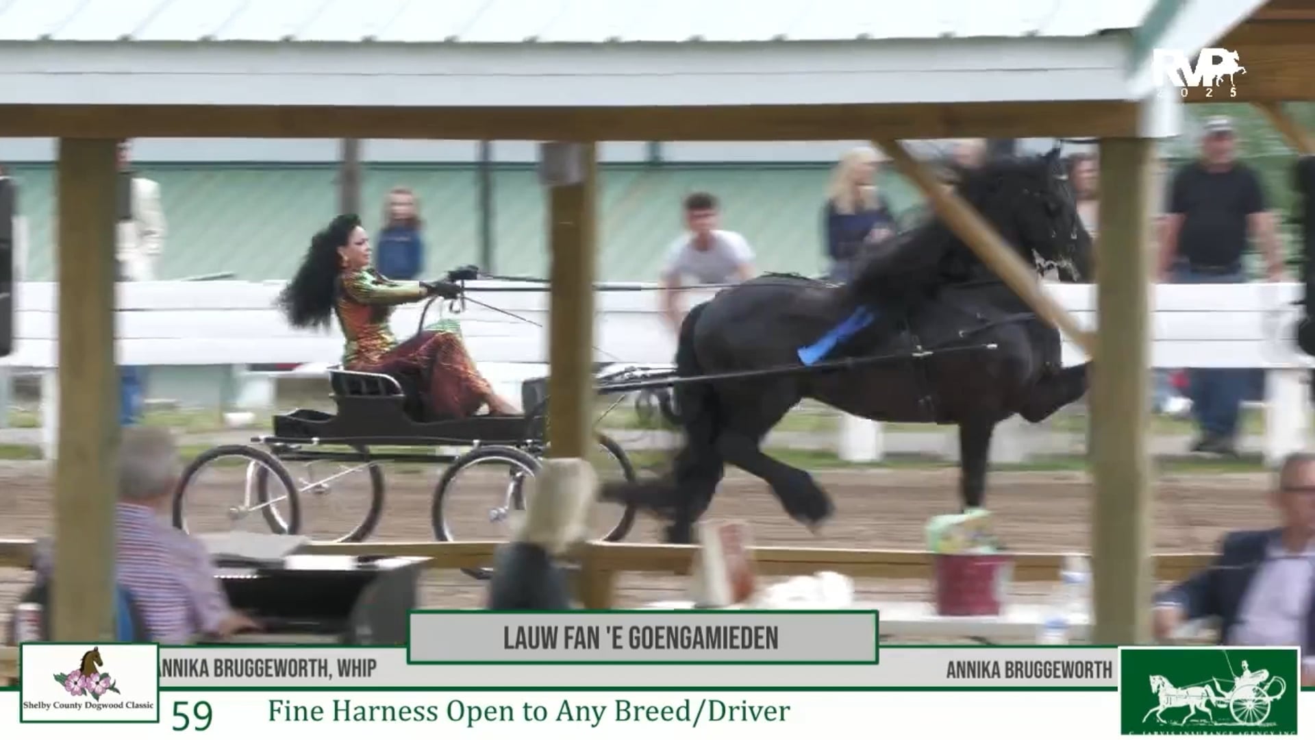 DC25 - Class 59 - Fine Harness Open to Any Breed-Driver