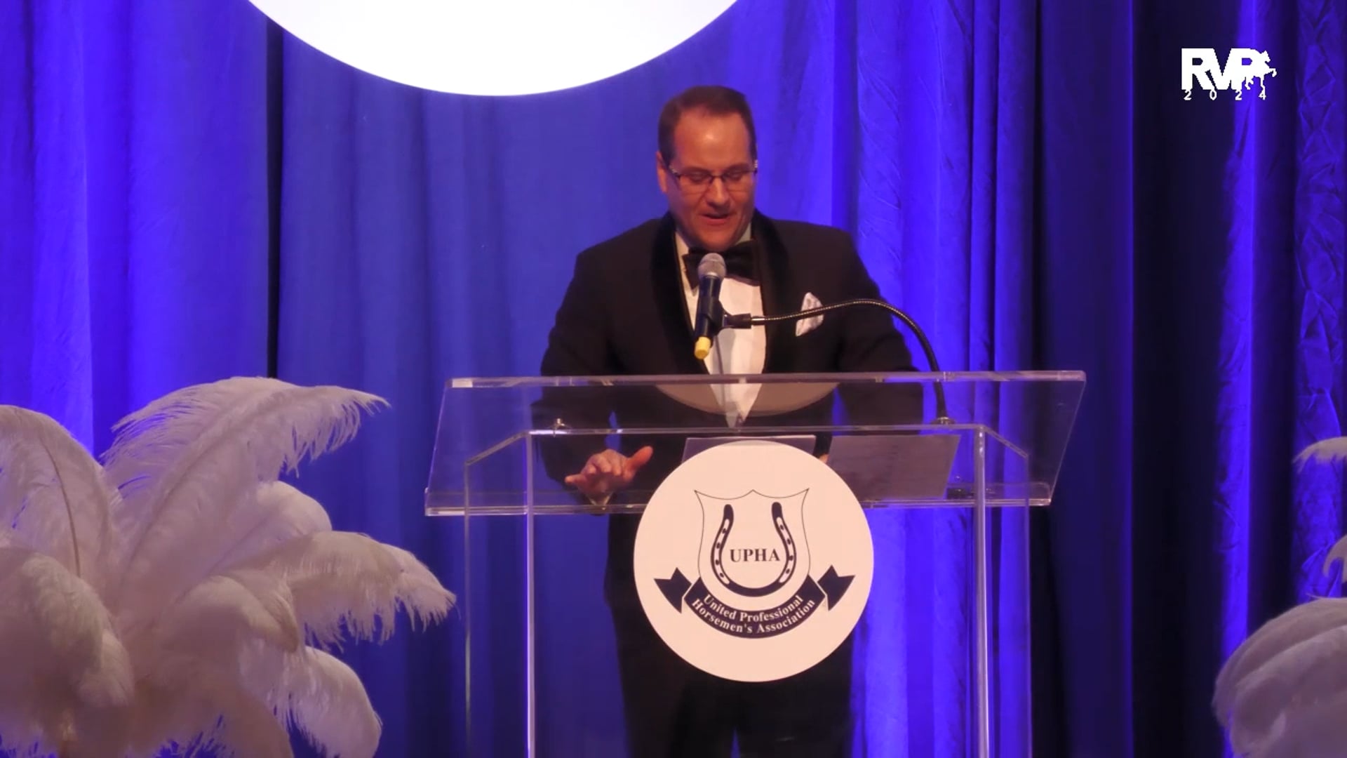 2024 UPHA Overall Morgan Classic Pleasure Horse of the Year - CBMF Street Legal GCH