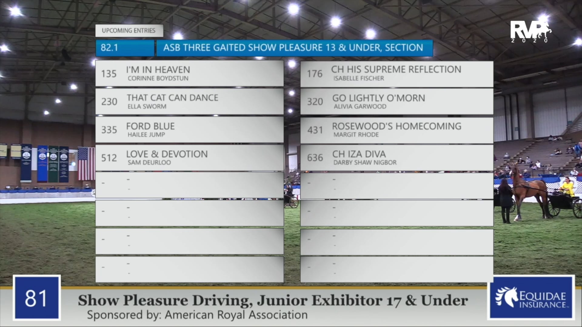 2020 AR - Class 81 Junior Exhibitor Show Pleasure
Driving 17 & Under
