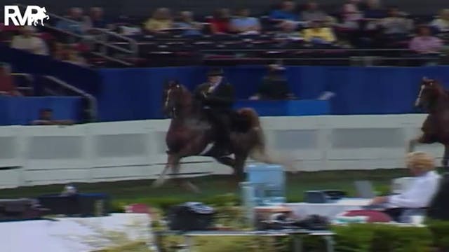 2004 World's Championship Horse Show ...