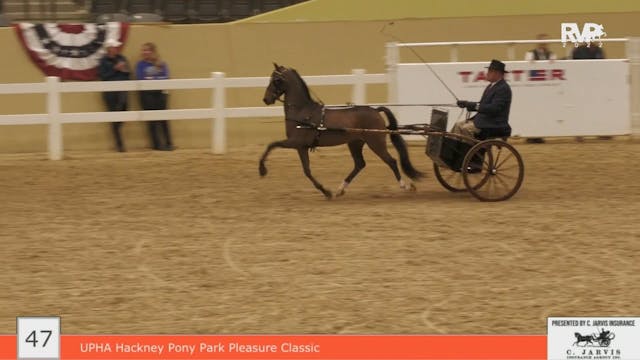 KYFC22 - Class 47 - UPHA Hackney Pony...
