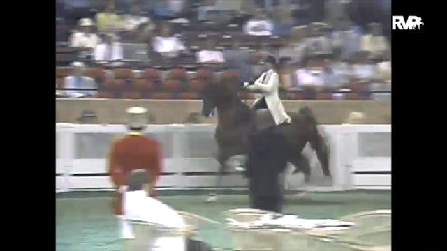 1988 WCHS Class 68 Amateur Five Gaite...