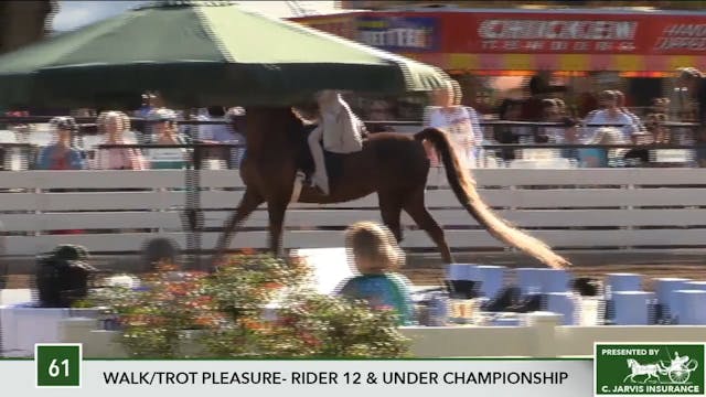 2017 RC - Class 61 Walk:Trot Pleasure...