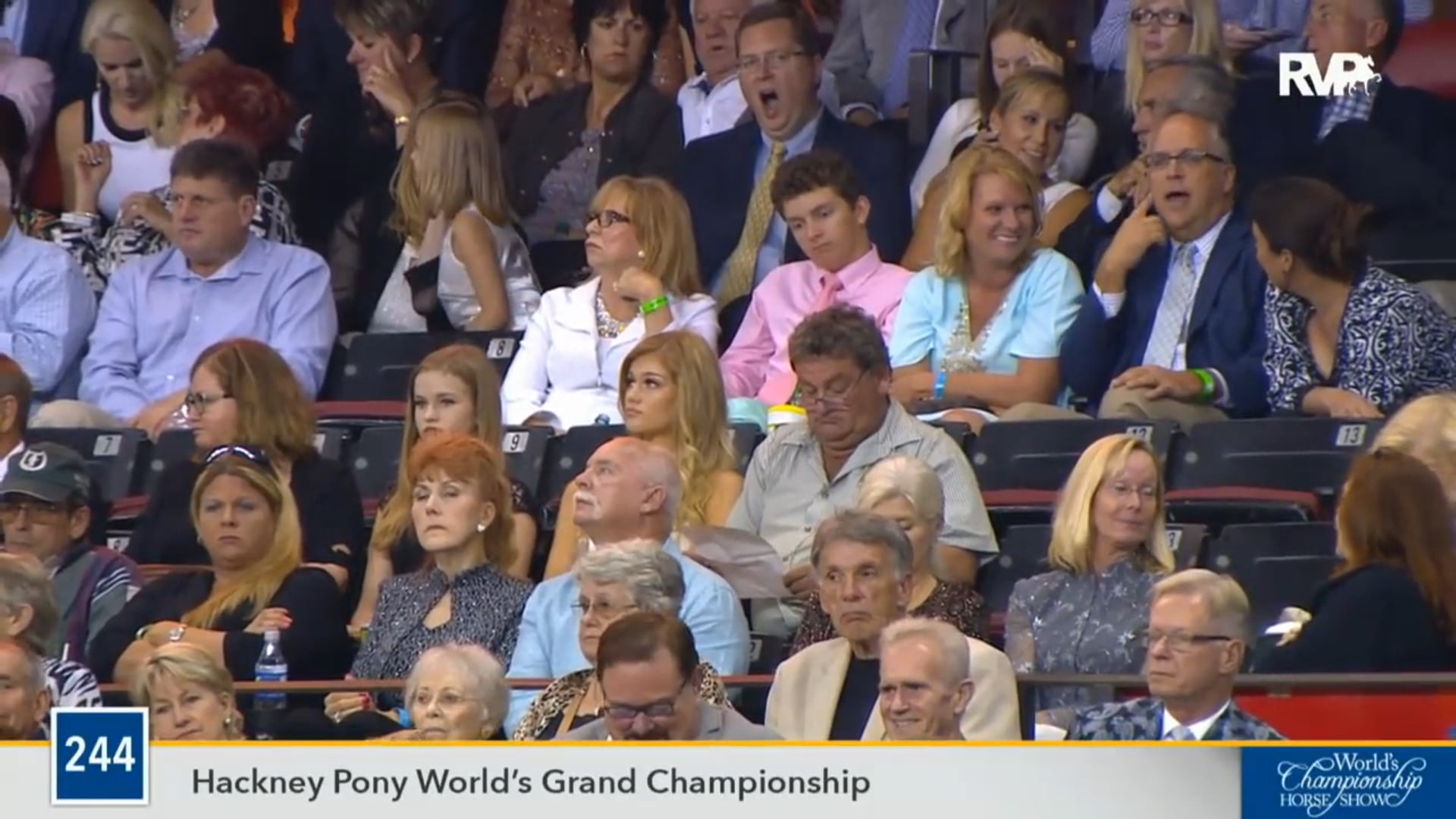 2016 WCHS - Class 244 Hackney Pony World's Grand
 Championship