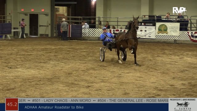 AAC22 - Class 45.2 -  ADHHA Amateur R...