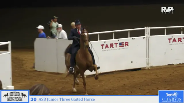 KYSP26 - Class 30 - ASB Jr Three Gait...