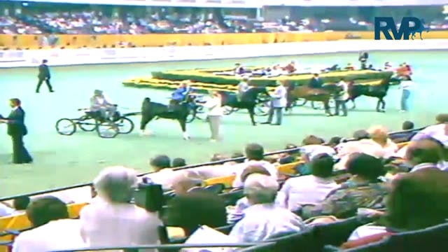 1987 WCHS Class 68 Harness Pony Stall...