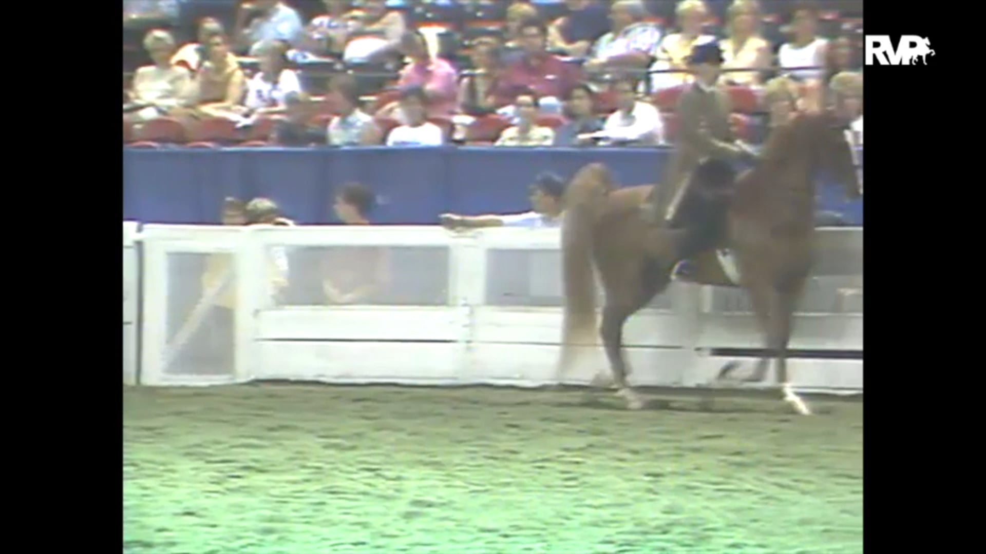 1993 WCHS Class 166 ASB Adult Three Gaited Pleasure Championship