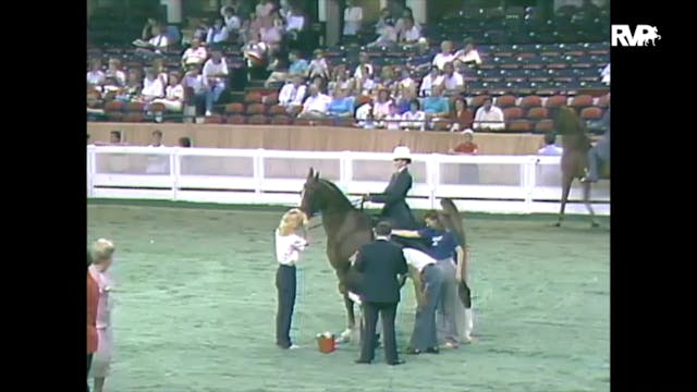 1988 WCHS Class 122 National Horse Sh...