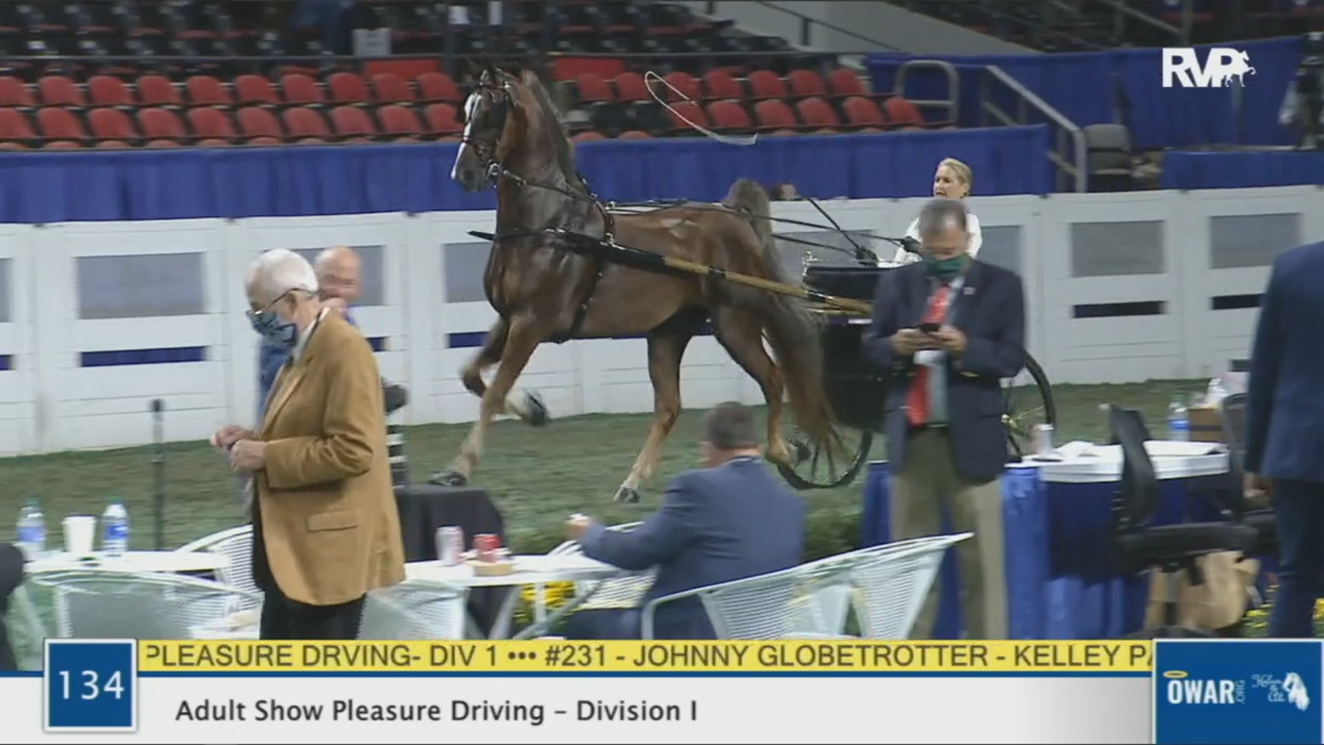 WCHS 2020 Class 134 - Adult Show Pleasure Driving - Division I