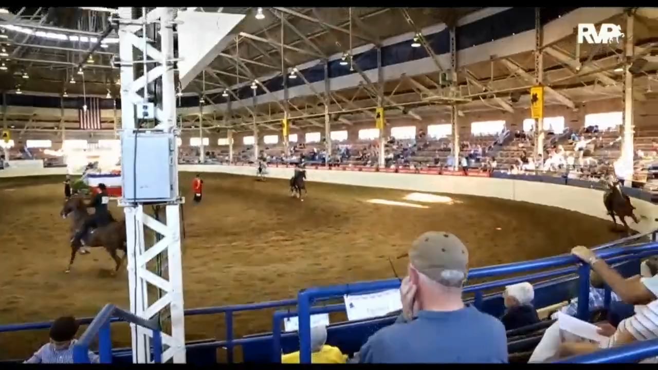 Gasparilla Charity Horse Show 2018 - Saturday Academy