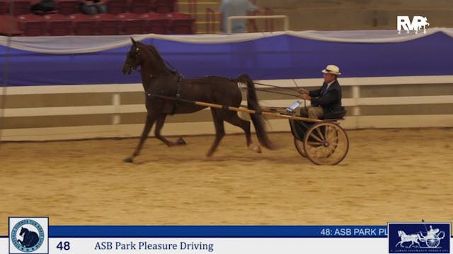 ASF25 - Class 49.1 - ASB Park Pleasur...