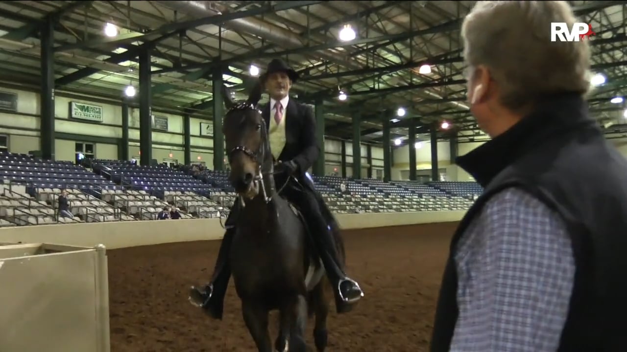 SSFF18 - Class 30 - Lady London