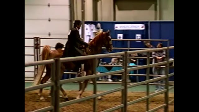 2001 Nebraska Charity - UPHA 5 Gaited...