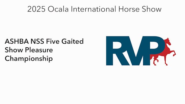 OI25 - Class 91 - ASHBA NSS Five Gait...