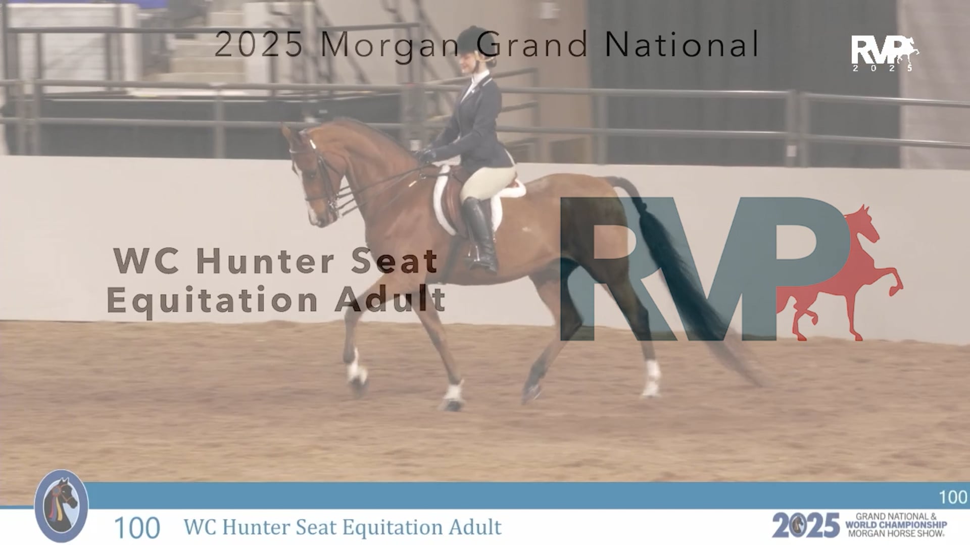 MGN25 - Class 100 - WC Hunter Seat Equitation Adult