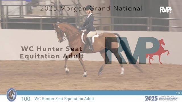 MGN25 - Class 100 - WC Hunter Seat Eq...