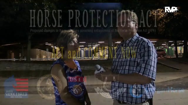 SEC16 - USEF Involvement in USFA Rulings