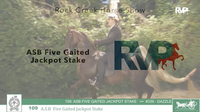 RC24 - Class 109 - ASB Five Gaited Ja...