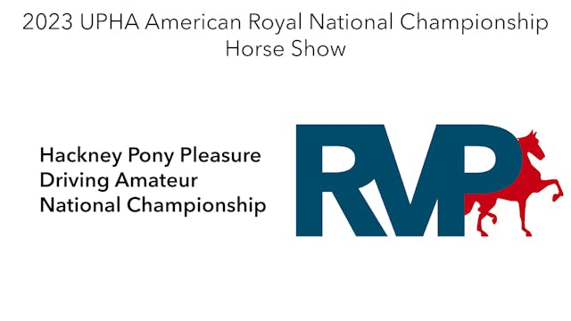 AR23 - Class 184 - Hackney Pony Pleas...