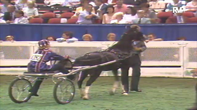 1992 WCHS Class 116 Junior Exhibitor ...