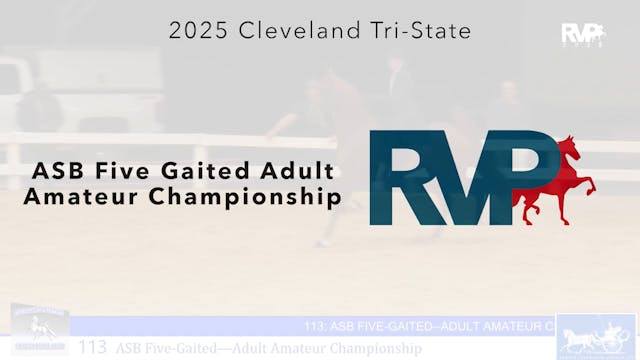 CTS25 - Class 113 - ASB Five Gaited A...