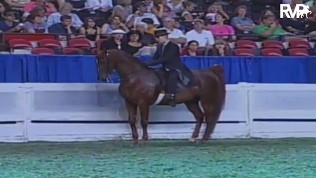 2009 World's Championship Horse Show ...