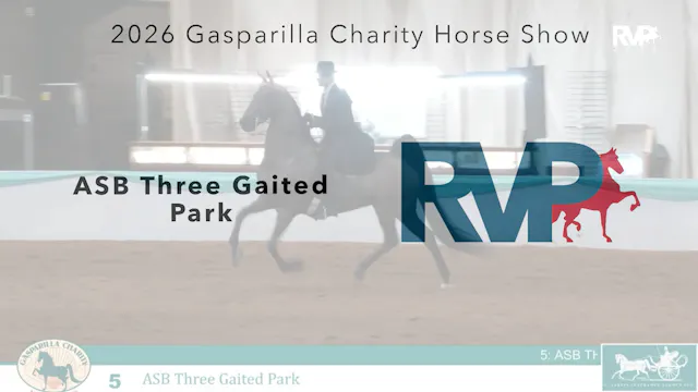 GC26 - Class 5 - ASB Three Gaited Park