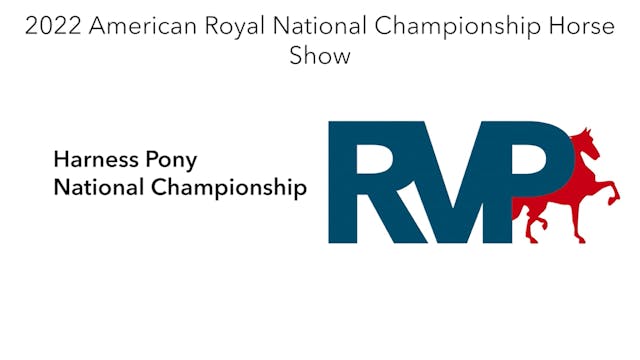 AR22 - Class 176 - Harness Pony Natio...