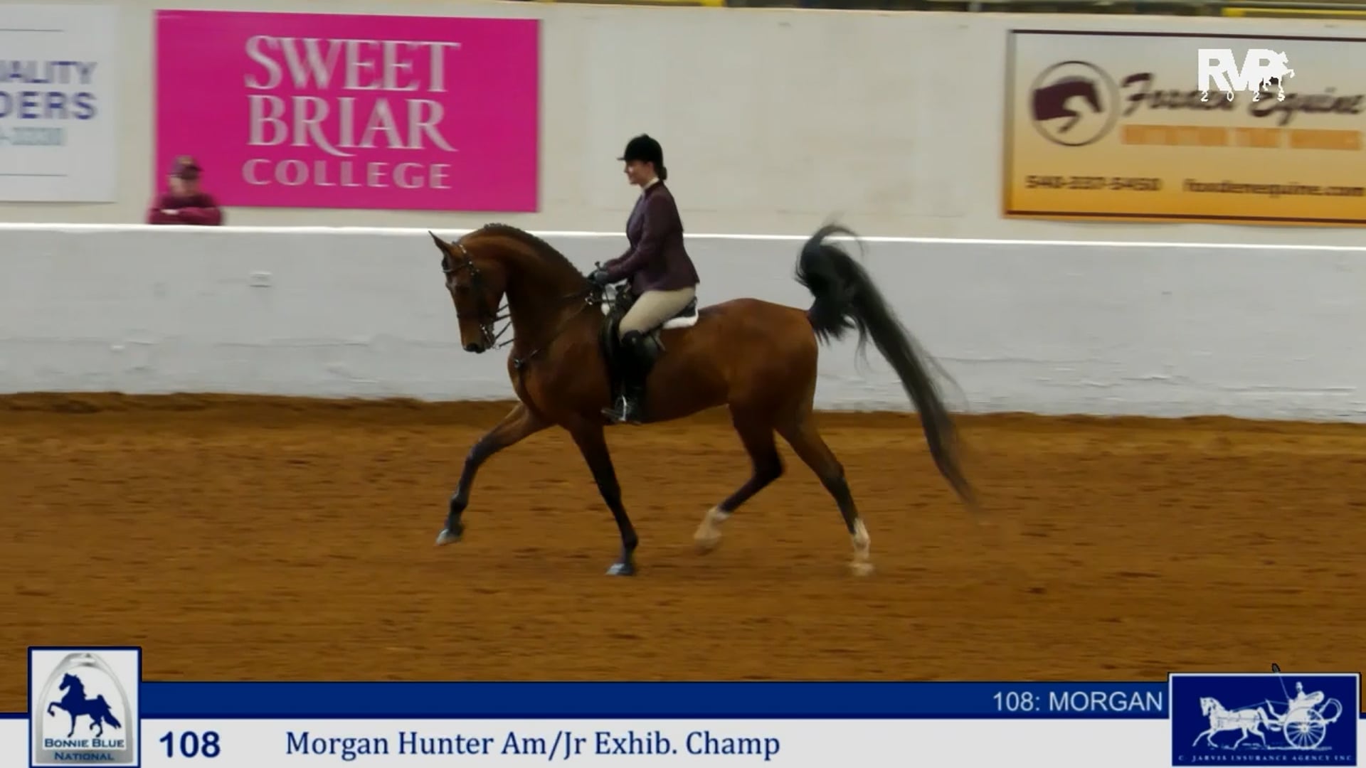 BB25 - Class 108 - Morgan Hunter Junior & Amateur Championship