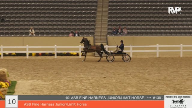 KYFC22 - Class 10 - ASB Fine Harness ...