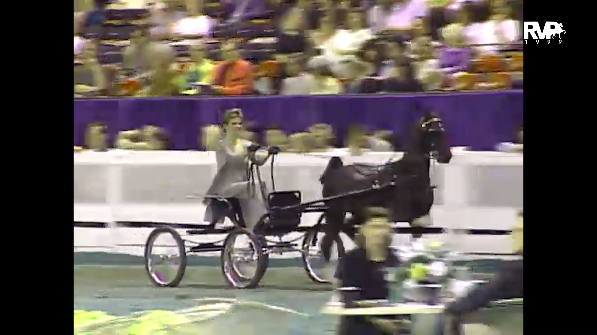 1999 WCHS - Class 162 Amatuer Hackney Pony Championship