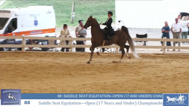 CTSC24 - Class 88 -  Saddle Seat Equi...