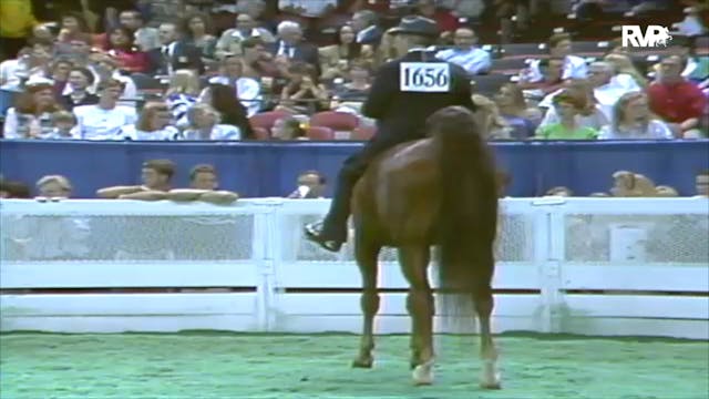 1992 WCHS Class 35 Junior Three Gaite...