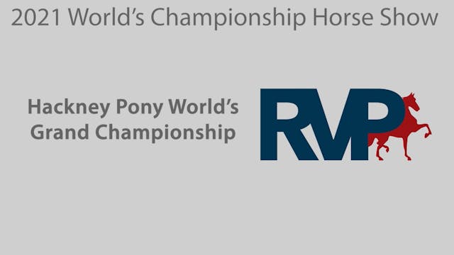 WCHS21 - Class 235 - Hackney Pony Wor...