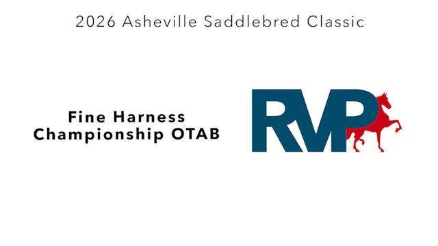 ASC26 - Class 91 - Fine Harness Champ...