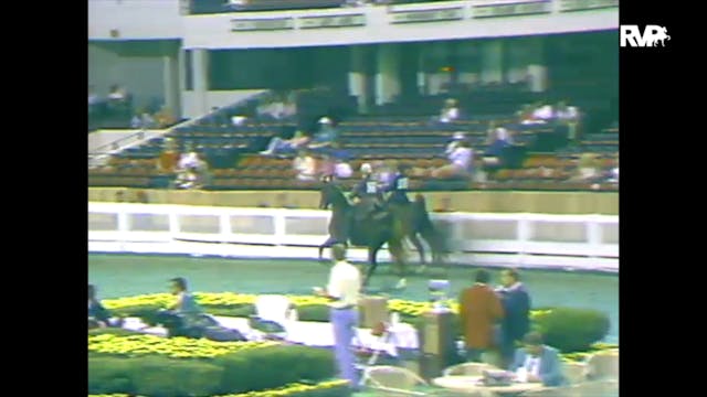 1988 WCHS Class 40 Equitation Open 14...